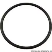 Genuine Hayward MicroClear SX200Z3 Filter Bulkhead O-Ring S200 S240 SP1498 Union