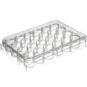 Dishes Laboratory Equipment Tools Plastic Well Plate Culture Plate