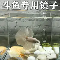 在飛比找樂天市場購物網優惠-斗魚專用訓練鏡魚缸圓形水中雙面小鏡子馬尾半月缸外吸盤鏡懸浮球