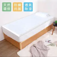 在飛比找蝦皮購物優惠-【Hokun】好眠 透氣乳膠床墊 5公分天然透氣乳膠床墊 添