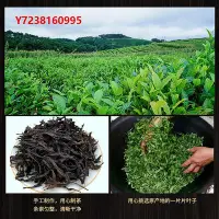 在飛比找Yahoo!奇摩拍賣優惠-鳳凰單叢鳳凰單樅茶潮州特級高山烏崠單叢茶鳳凰單叢茶葉蜜蘭香濃