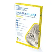 Revolution Plus Yellow Kitten And Small Cat