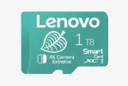 Lenovo 1TB Micro SD Card Leaf Green