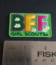 Girl Scouts Brownies Iron On Fun Patch Badge