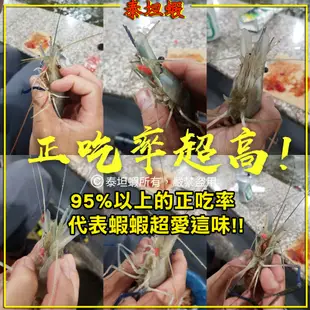 常溫配送【泰坦蝦】純手工獨門祕方爆咬泰國蝦釣蝦餌經典兩款任選組合 (3.3折)