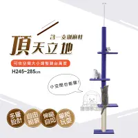 在飛比找PChome24h購物優惠-【PET DREAM】頂天立地四層貓跳台藍色 貓跳台 貓樂園