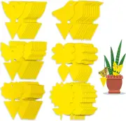 60Pcs Sticky Traps,Sticky Fruit Fly Fungus Gnat Trap Killer for Indoor and Outdo