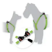 BlackDog Wear Dog Harness Step in Style