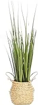 Cooper & Co. Homewares Onion Grass Artificial Plant in Woven Basket