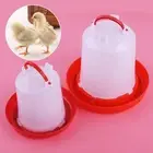 Auto Plastic Chicken Feeder Drinker for Poultry Bird Hen Quail Waterer Rt