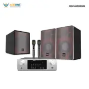 Professional speaker amplifier subwoofer home set