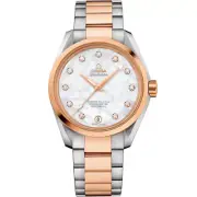 Omega Seamaster Aqua Terra Master Co-Axial Ladies 38.5MM 231.20.39.21.55.003