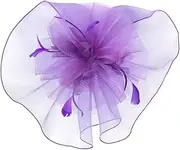 [ANDRESLAD] Elegant Mesh Veil Fascinator Hat for Women Black Headband for Tea Party