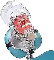 Dental Simulator Mannequin Head-Phantom Head Phantom Model Fixed on Chair Training Manikin,for Schools Education Practical