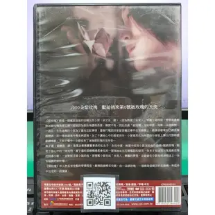 影音大批發-S02-022-正版DVD-台劇【紫玫瑰／共4片13集】-黃騰浩 梁文音 許瑋甯 黃柏鈞(直購價)