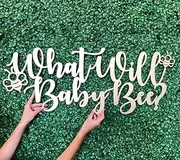 Wooden What Will Baby Bee Sign for Backdrop,Bee Themed Baby Shower Party Sign,He or She Backdrop Sign Gender Reveal Decorations,Photo Booth Prop