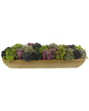 Creative Displays Multicolor Sedum Floral Display