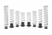Eibach Pro-UTV Stage 2 Springs (2021-2025) Honda Talon 1000R Fox Live