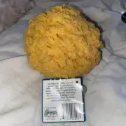 Sea Sponge Faux Natural Texture Absorbancy
