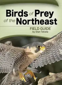 在飛比找博客來優惠-Birds of Prey of the Northeast