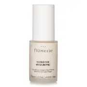 FLANERIE - Face & Eye Instant Blur Primer