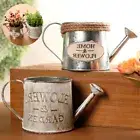 Flower pot metal vintage plant vertical garden bucket succulent planter