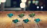 6-PC Blue & Green Mini Sea Turtle 3.25"W Cute Sea Turtle Figurine Room Decor