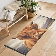 QGBYMX Highland Cow Field Washable Runner Rug 2’ x 6’ Non Slip Kitchen Runner Rug for Hallways Entryway Patio Living Room Floor Carpet Runner- Soft Thin Mat for Family Pet