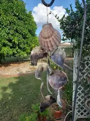 Sea Shell Ocean Soft Soothing Chimes Large Size Shells