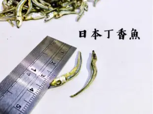 迪化街老店 日本丁香魚 下酒菜 乾丁香 干丁香 小魚乾 丁香魚哪裡買 極新鮮每日冷凍保存 日本的更甘甜好吃喔