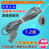 在飛比找樂天市場購物網優惠-原裝SONY索尼T口線 梯形口 5P線 數碼相機攝像機USB