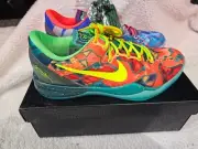 Size 11 - Kobe 8 What the Kobe sneakers