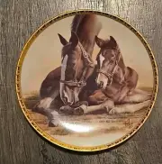 horse collector plate