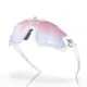 【Oakley】JAWBREAKER(雪鏡 運動太陽眼鏡OO9290-2131)