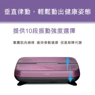 OSIM 動姿板 OS-9220 (垂直律動機/塑身機/被動式運動/懶人運動/居家運動)