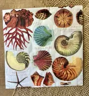 L-040 Seashells Nautical Design Paper Napkins For Decoupage Crafting
