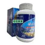 妞妞寶寶✿免運！200粒送60粒 維立固PLUS珊瑚鈣錠 鈣500MG 中旗 效期最新