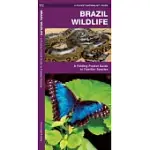 BRAZIL WILDLIFE: A FOLDING POCKET GUIDE TO FAMILIAR ANIMALS