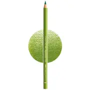 Faber-Castell Polychromos Pencil Earth Green Yellowish 168