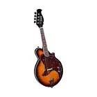 Kentucky 4 String Mandolin, Right (KM-300E)