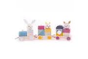 Bigjigs Toys FSC Activity Pull Along Train (Available in July)