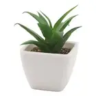 AU 6PCS Potted Artificial Succulents Artificial Plants In Pots Plastic Fake Home