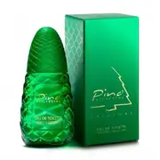 Edt Spray by Pino Silvestre for Men - 125 Ml