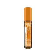Panzer SPRAY Twice A Day 100 ml Anti Bacterial Screen Cleaner - Clear