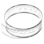 Film Flexible Ruler 80cm 0.1mm Scale with R Angle, 1 Pcs, Transparent