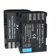 2 PACK Battery for Panasonic DMW-BLF19E DC-GH5GK DC-G9 DC-G9GK-K