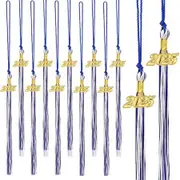 20Pcs Graduation Tassels Academic Graduation Cap Hat Tassel with 2025 Gold Charm for 2025 Graduation Ceremonies Accessories (Blue White)