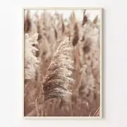 Pampas Grass Colorful Poster Print Pampas Grass Photo Wall Art Wall Art Boho