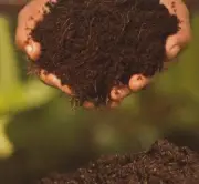 Coco Peat Sri lanka Coconut Coir Powder Dust Dry 100% Natural Growing 400g pack