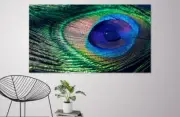 feather-water-drop-colourful-peacock-WALL ARTS high quality Canvas home decor